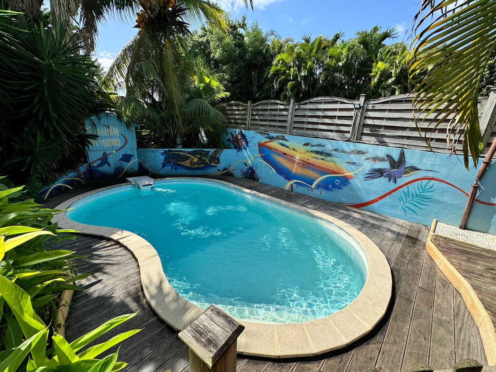 Vue de la piscine et du mur peint de poissons colorés