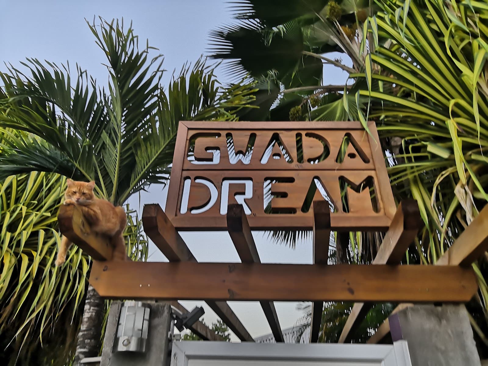 Enseigne Gwada Dream entourée de palmiers