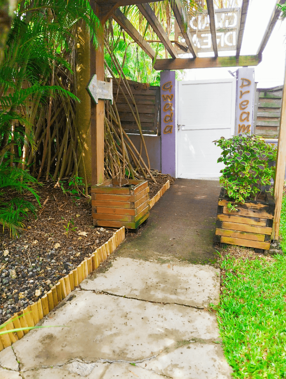 Jardin sous la pergola, plantes tropicales